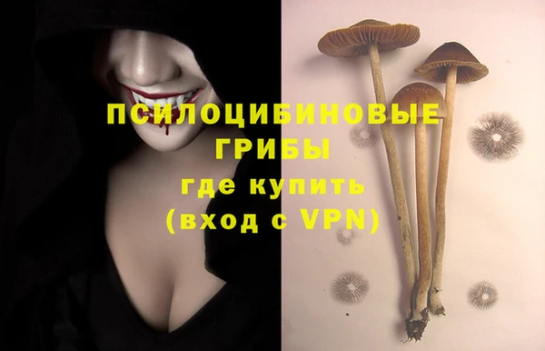 jwh Корсаков