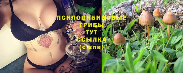 амф Коряжма