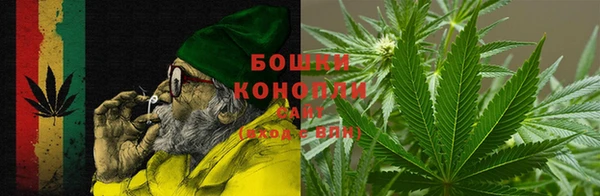 амф Коряжма