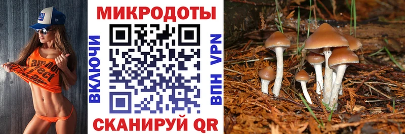 Галлюциногенные грибы Psilocybe  Купить закладки  Стрежевой 